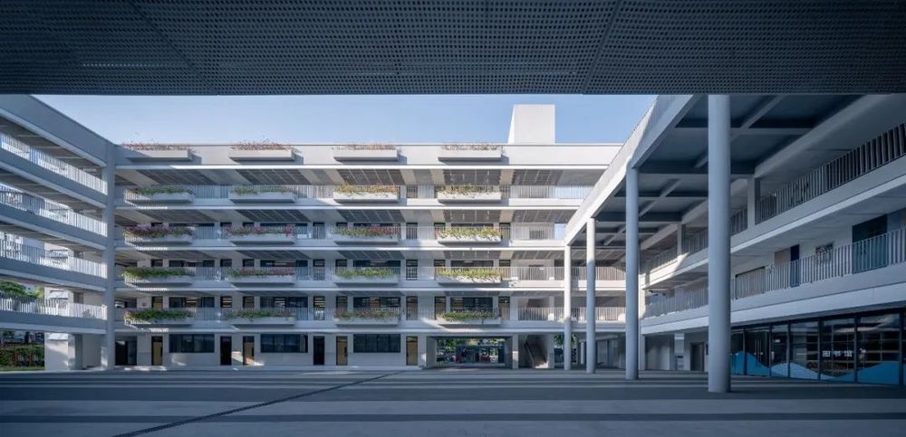 南山麒麟中学改扩建 | 有机链接新旧建筑，活力重塑校园空间