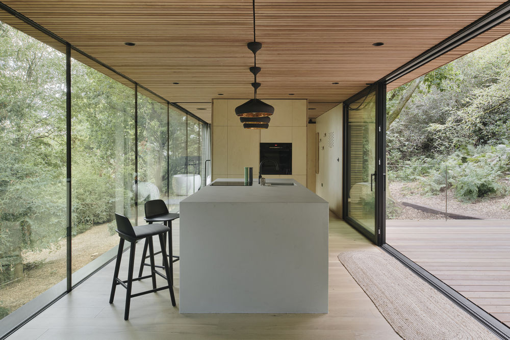 Looking Glass Lodge / Michael Kendrick Architects