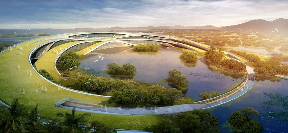 横琴国家湿地公园 | 生态共享的粤港澳大湾区新地标