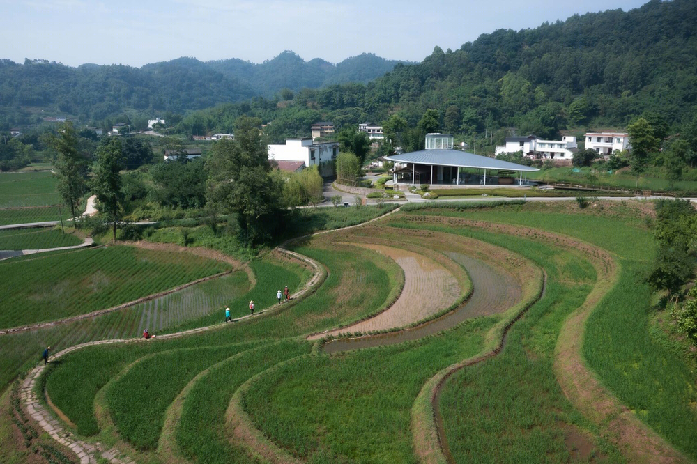 Bamboo Craft Workshop | 融合乡村文化与现代设计