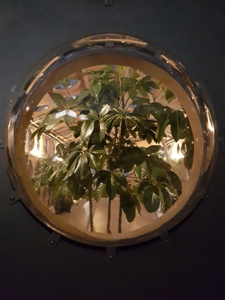 首尔现代艺术博物馆“永恒春天”气候调节装置