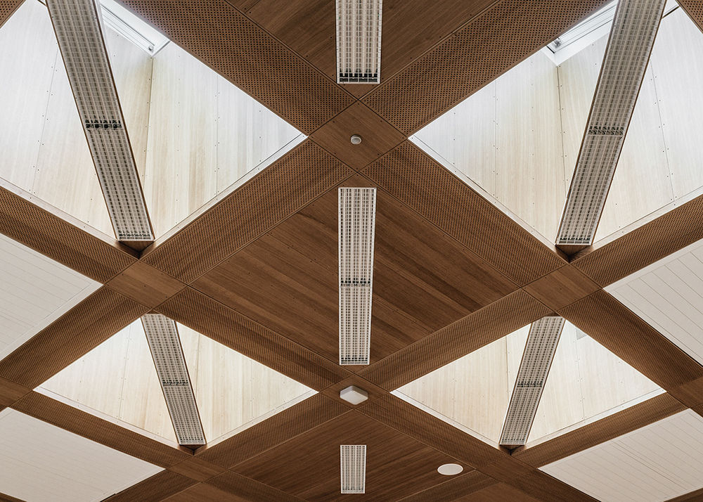 Anastasiya Gushchina丨体育馆丨Falkonergårdens Gymnasium Multihal