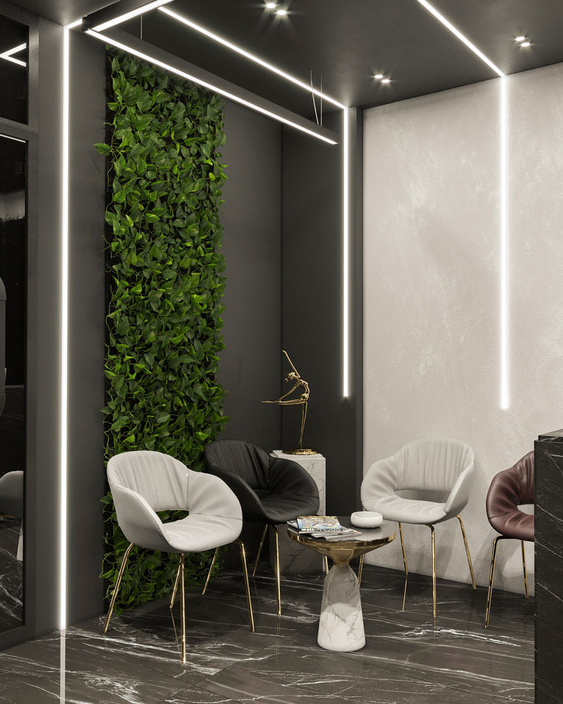 Anastasiya Gushchina丨诊所丨DENTAL CLINIC ( DR. AMR AKL )