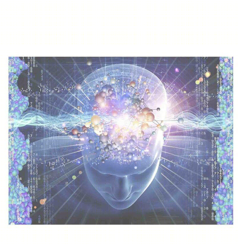 生物研发大楼室内设计 | 绿色生态与高科技的融合