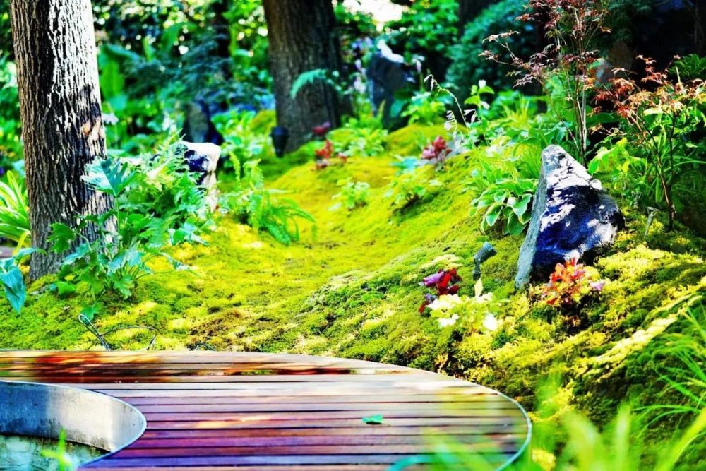 衡山花园 | 凯文绿地的诗意变身