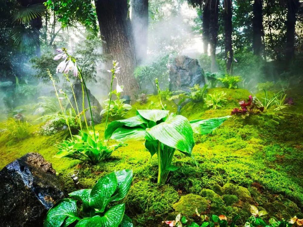 衡山花园 | 凯文绿地的诗意变身