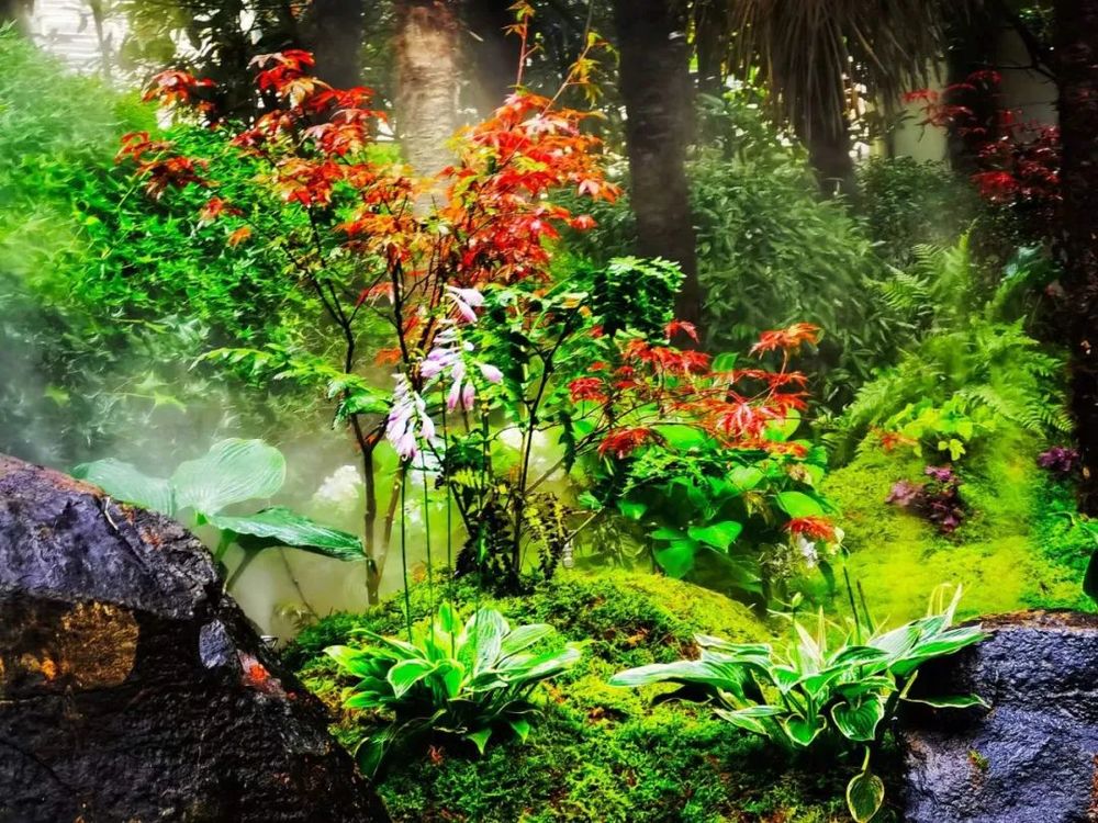 衡山花园 | 凯文绿地的诗意变身