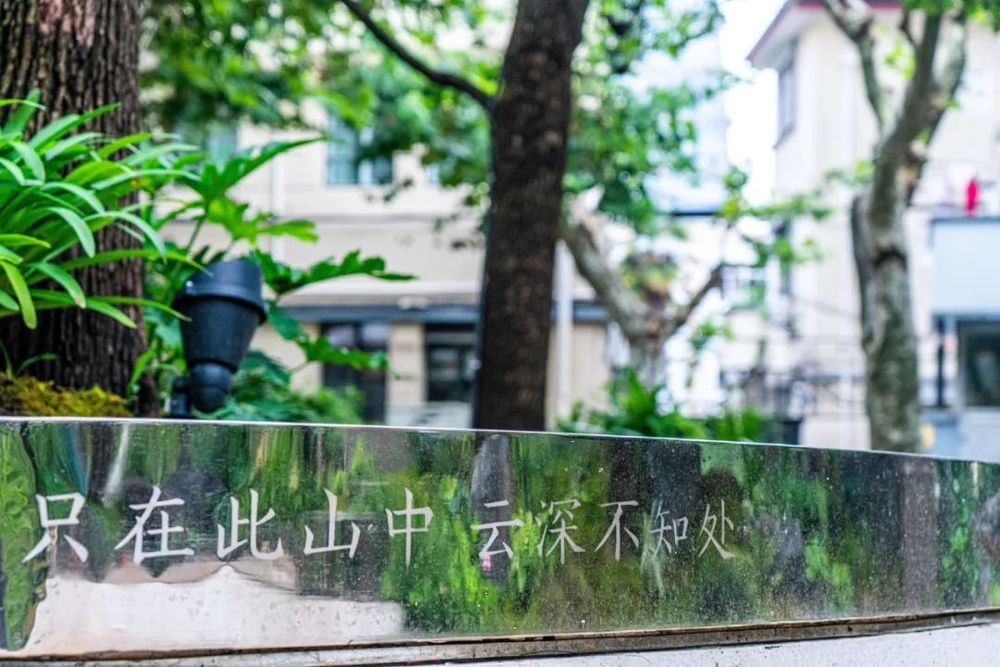 衡山花园 | 凯文绿地的诗意变身