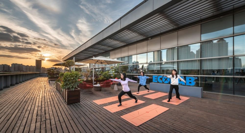 M Moser Associates 打造绿色生态总部办公室