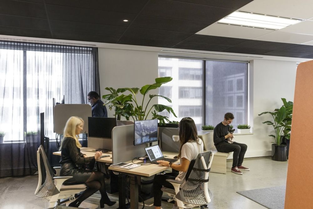 Whispir Offices - Melbourne | 适应未来工作的灵活设计