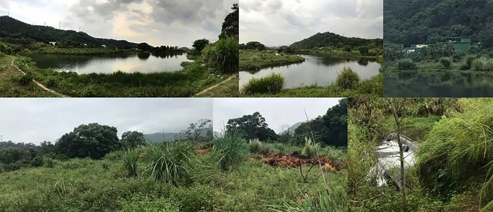 福州登云·安野云庐 | 上海柏涛 | 中国福建福州