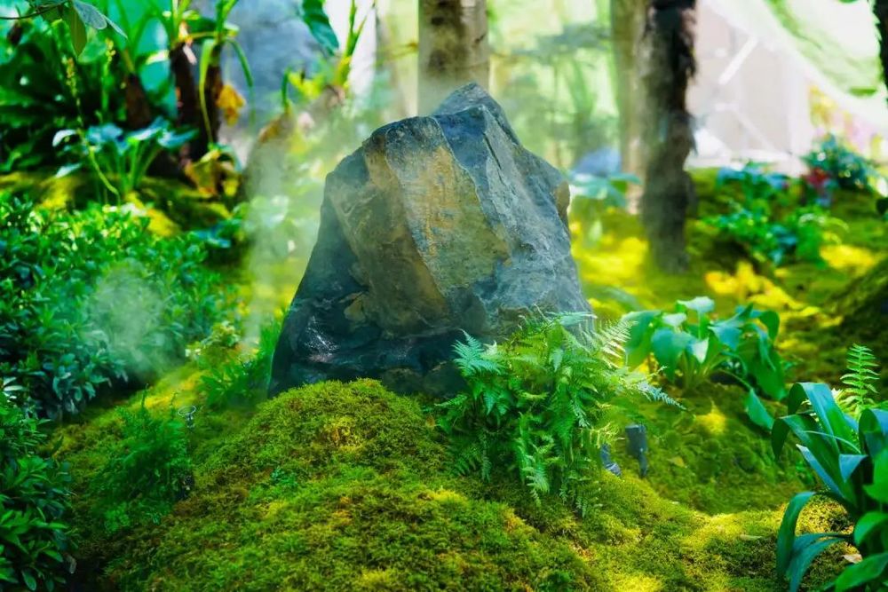 衡山花园 | 凯文绿地的诗意变身