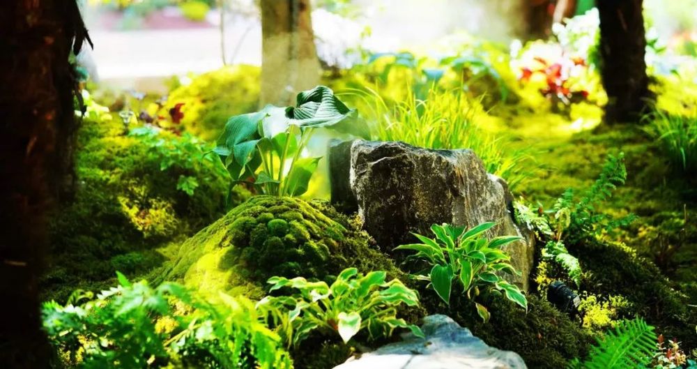 衡山花园 | 凯文绿地的诗意变身