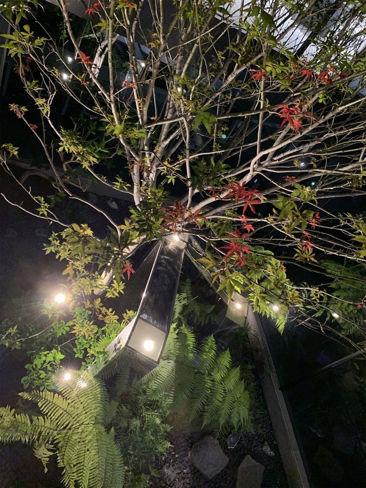 框·井 至岸景观的现代禅意空间