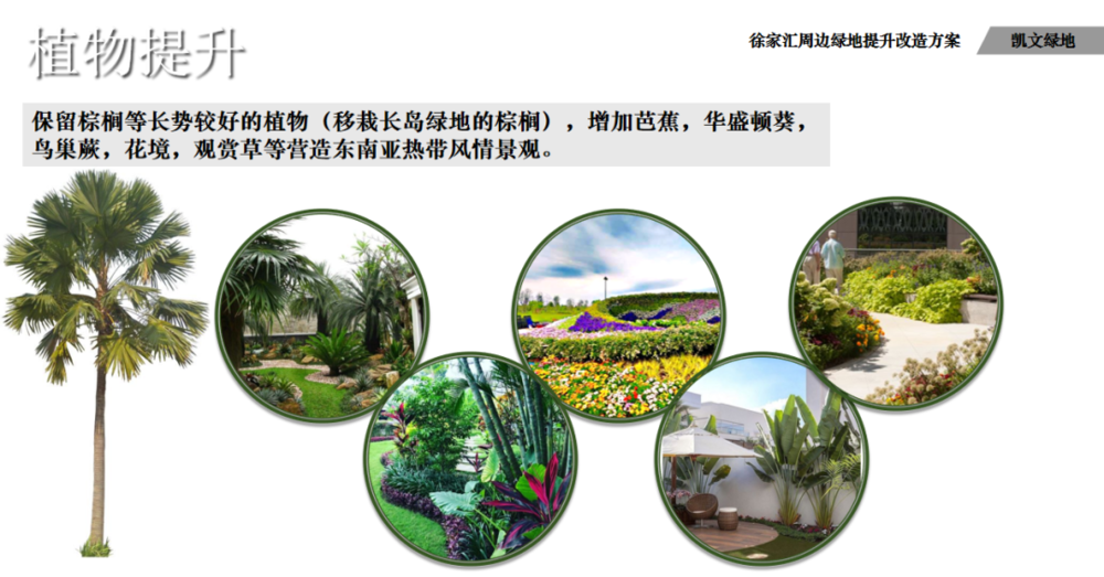 衡山花园 | 凯文绿地的诗意变身