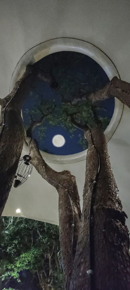 衡山花园 | 凯文绿地的诗意变身