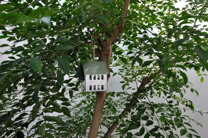 「LOVE HOUSE」 | 自然与建筑的完美融合
