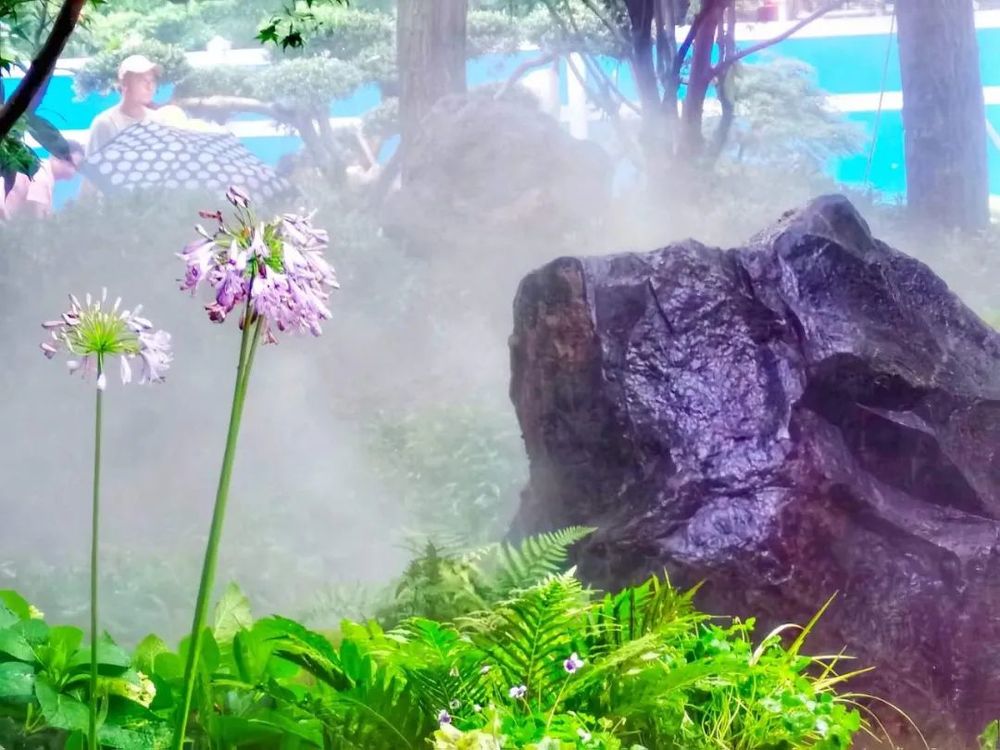 衡山花园 | 凯文绿地的诗意变身