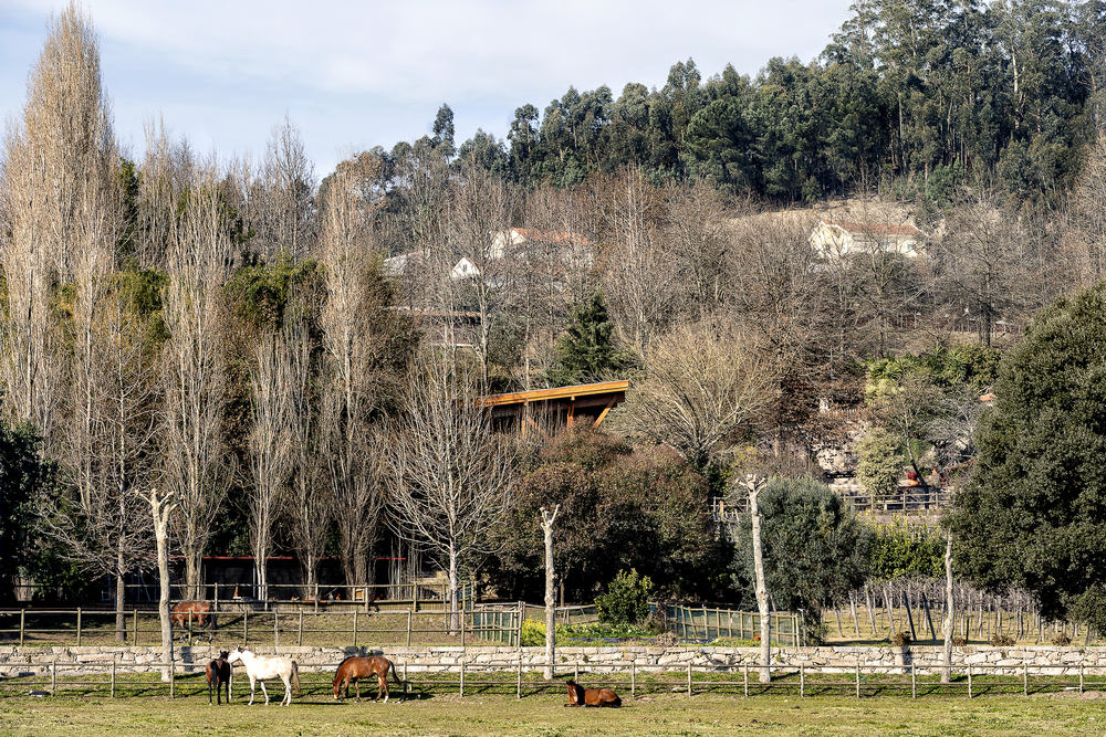 葡萄牙 MG Coudelaria Stud Farm 自然共生马场设计