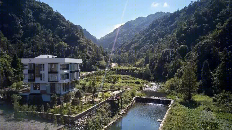 原木风民宿空间，品味自然之美