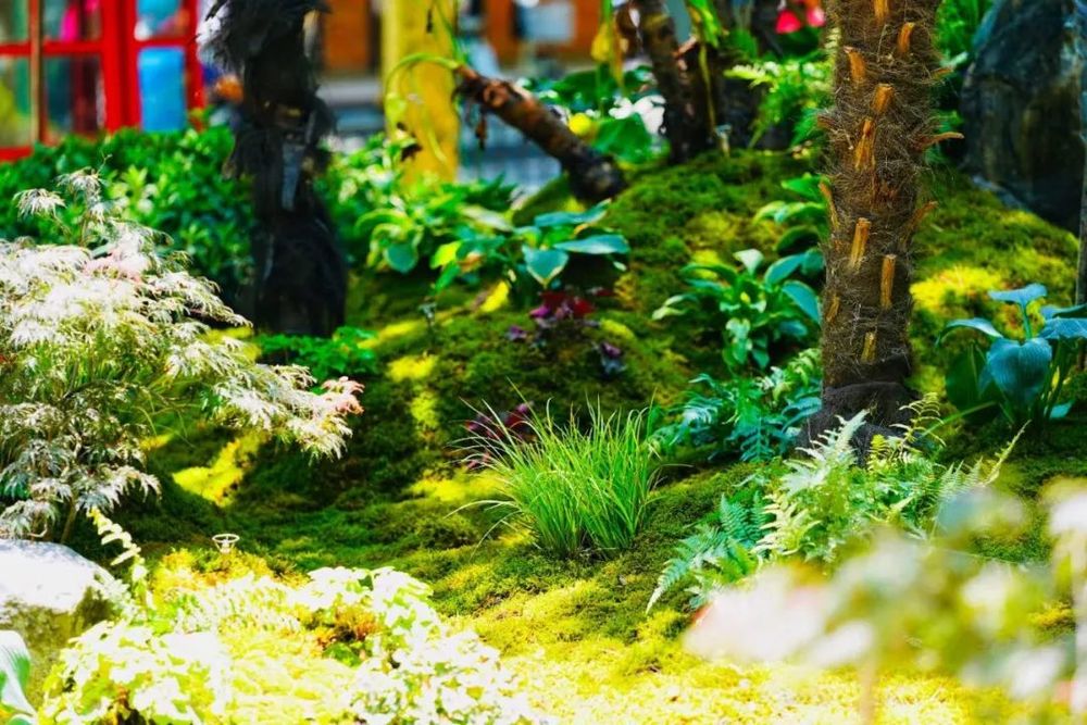衡山花园 | 凯文绿地的诗意变身