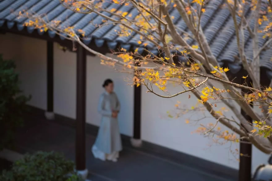上虞·江南里 | 古韵新生的江南园林生活