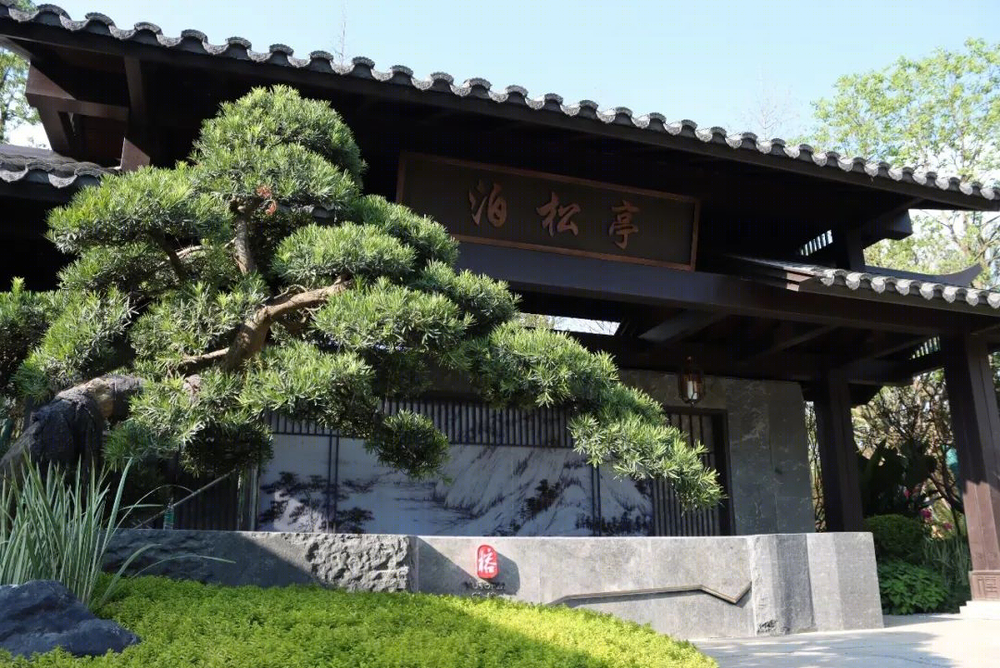 世茂御榕·武夷度假酒店 | 山水之间，体验宋代美学生活