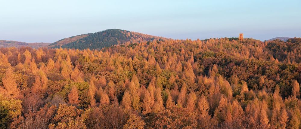 长春力旺莲花山孔雀林 | 山居美学的诗意探索