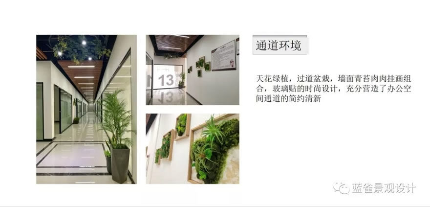 领扬创客中心 | 绿意盎然的高效办公空间