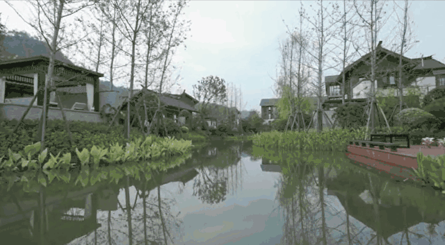 世茂御榕·武夷度假酒店 | 山水之间，体验宋代美学生活
