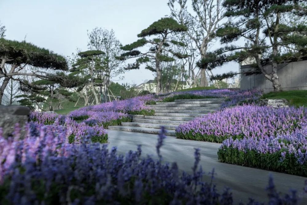 芜湖·伟星·湖山云著 | 新中式山水景观的典范