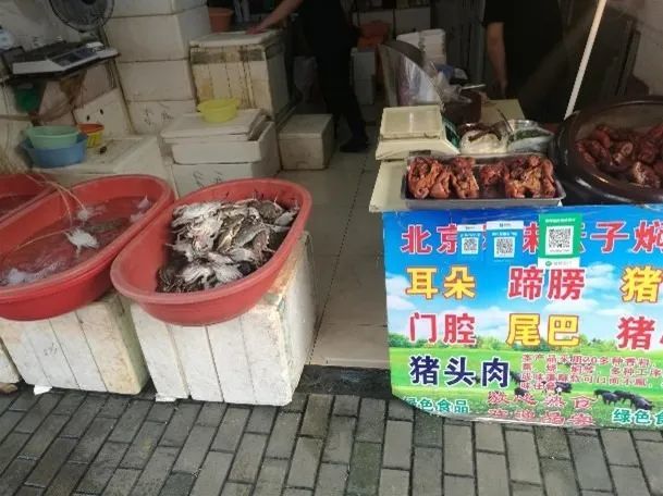 上海定海路 449 弄非正规建造研究