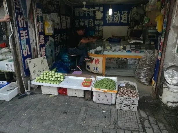 上海定海路 449 弄非正规建造研究