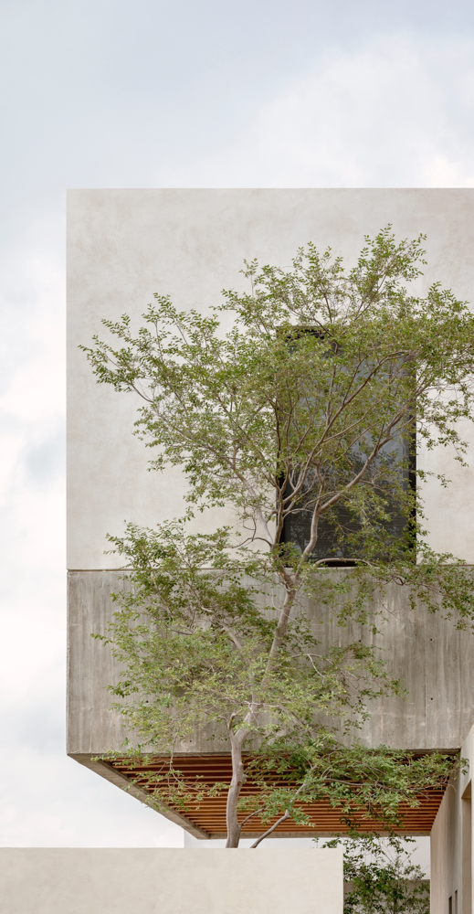 Vtaller 打造自然居所，庭院与建筑完美融合