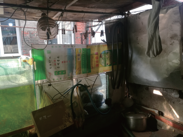 上海定海路 449 弄非正规建造研究