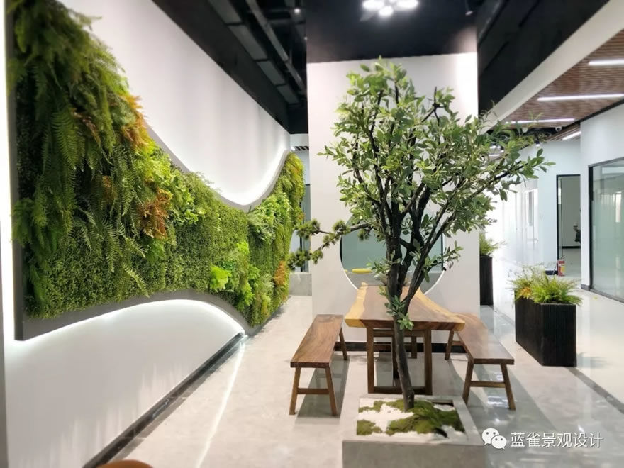 领扬创客中心 | 绿意盎然的高效办公空间