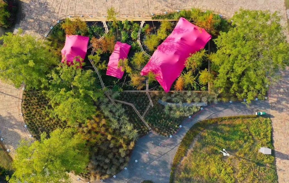 武汉花展中的波西米亚园 | 自然野趣与庭院的完美结合