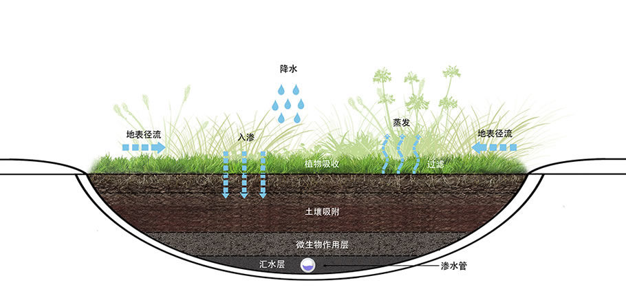 北京西承寓社区更新 | 老旧小区的绿色共享新生