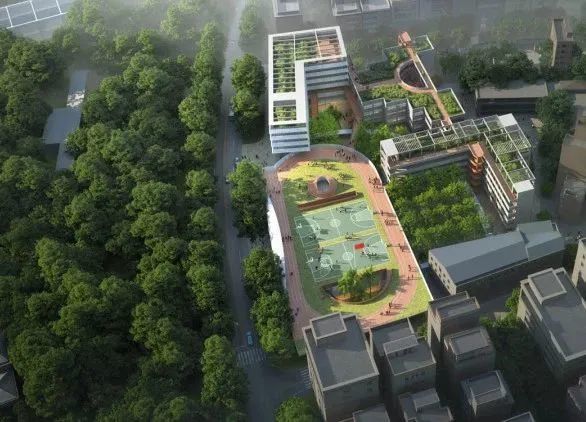 局内设计丨深圳 坂田街道宝岗小学改扩建工程  建筑设计 丨中国深圳
