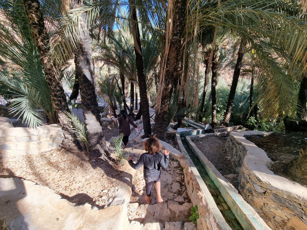 《Moroccan Oasis Transformed by Inside Outside Studio （Inside Outside 工作室将摩洛哥绿洲转型）