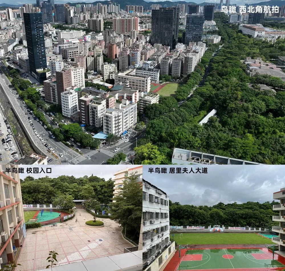 局内设计丨深圳 坂田街道宝岗小学改扩建工程  建筑设计 丨中国深圳