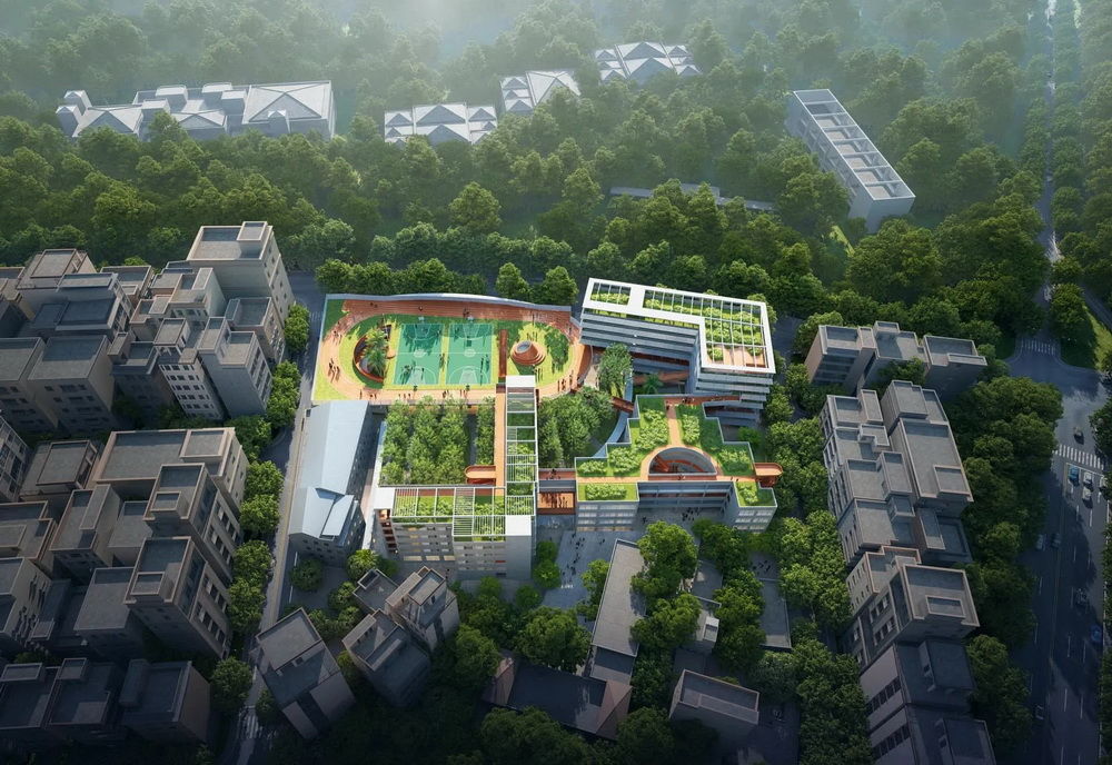 局内设计丨深圳 坂田街道宝岗小学改扩建工程  建筑设计 丨中国深圳
