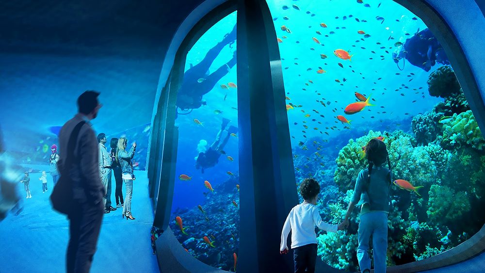 印尼 Flores 岛海洋生物保护中心 | Ishaq Rochman 的生态建筑设计
