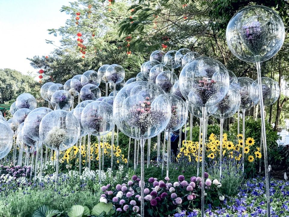 《消失的花园》 | 亚克力气球展现消失之美