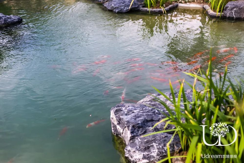 江苏常州溪栖庄园 | 地中海风格庭院，悠境景观的浪漫之作