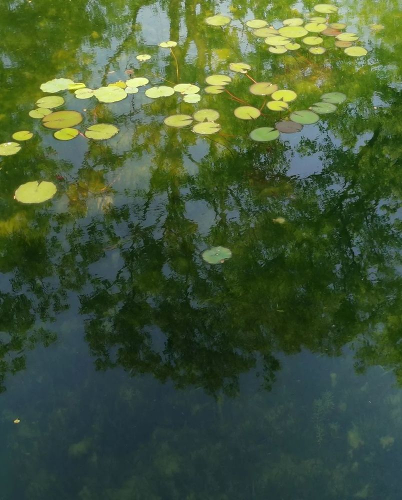 春游苏州，赏景品美食，学习景观设计