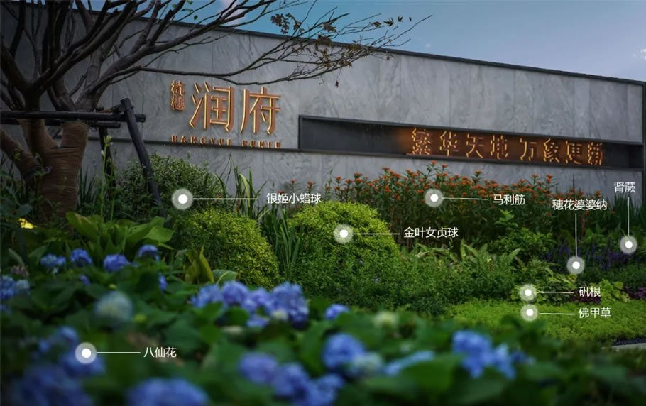 杭州申花杭樾润府 | 景观体验式的示范区设计