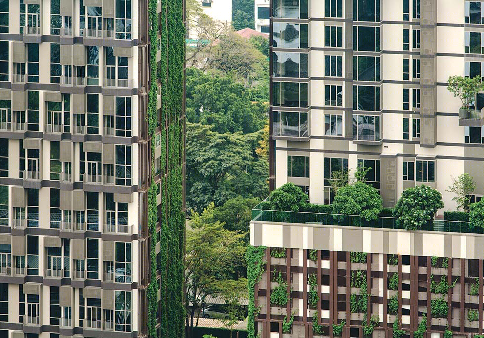 曼谷高密度住宅的绿色转变——Ashton Morph 住宅景观