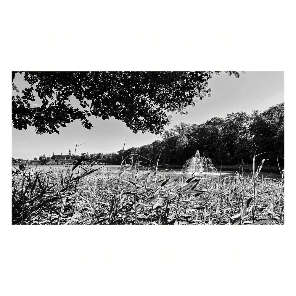 Anastasiya Gushchina丨码头丨black and white photography丨波兰