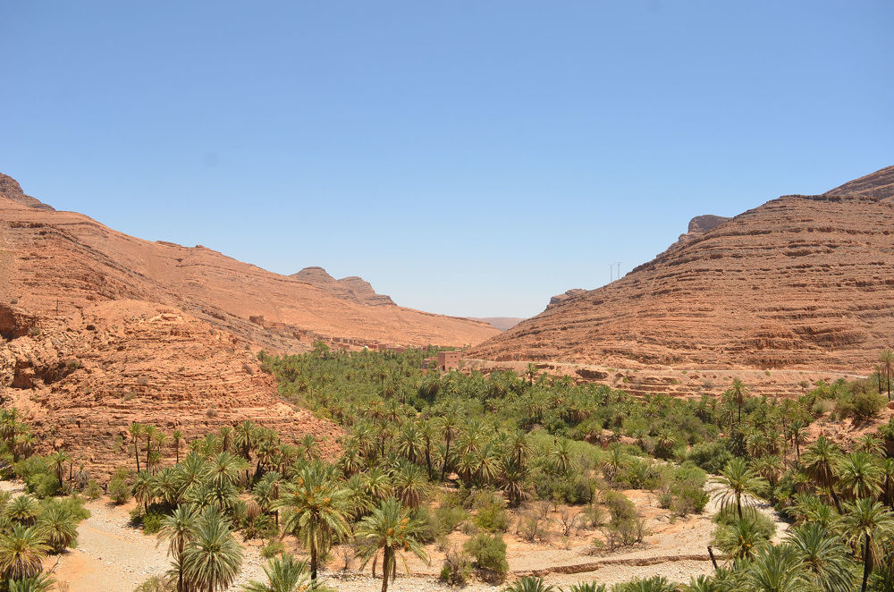 《Moroccan Oasis Transformed by Inside Outside Studio （Inside Outside 工作室将摩洛哥绿洲转型）